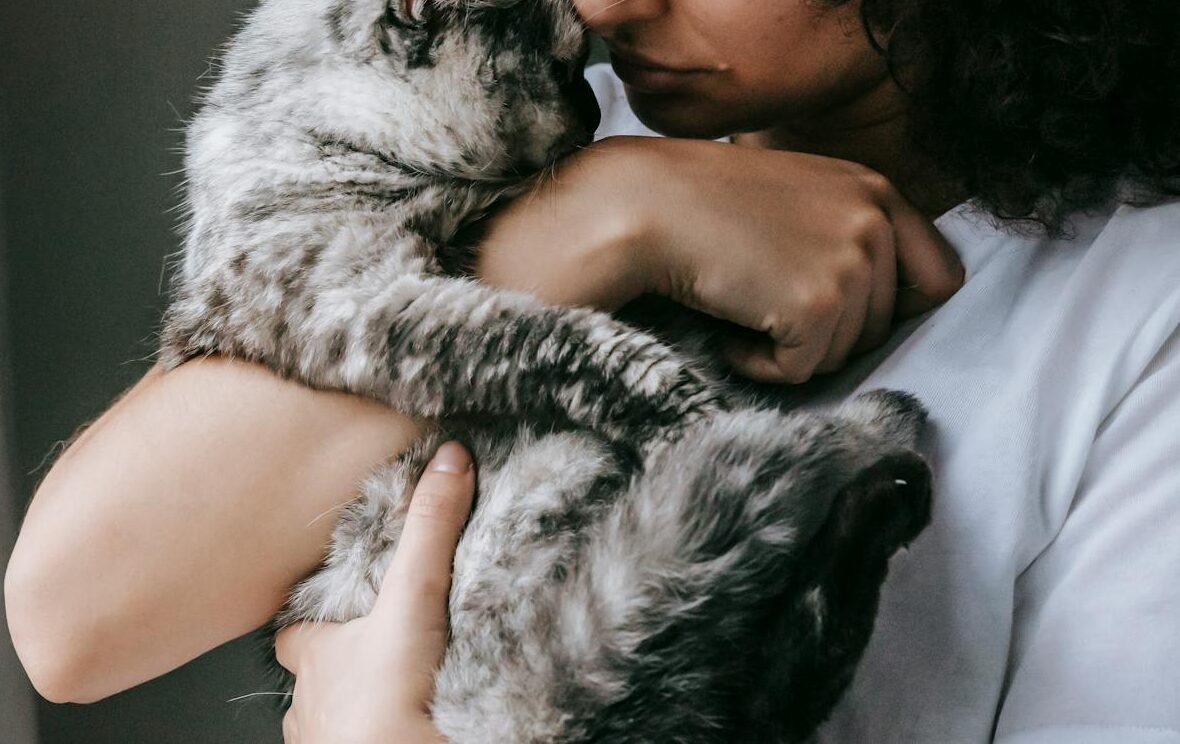 "Manchitas" ronroneando a su catsitter. Tu gato es capaz de conectar más fácilmente si se encuentra en la seguridad de su hogar.