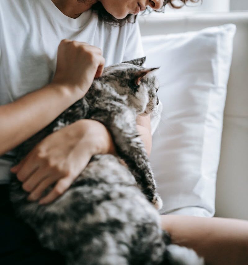 La catsitter cuidando de "Manchitas" en una de sus visitas de cuidado de gatos a domicilio en el Baix Llobregat.