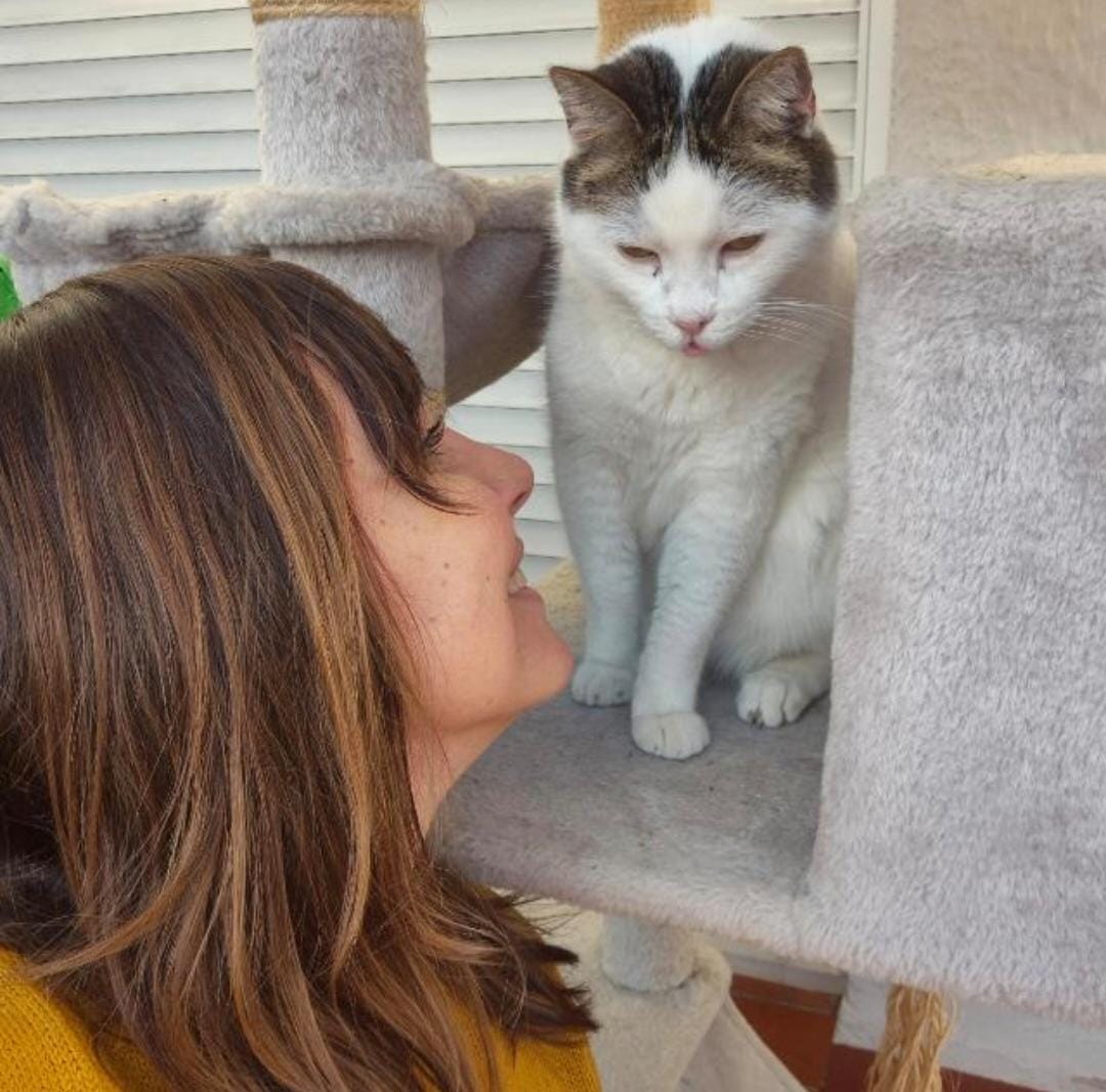Catsitter titulada de Gaticidad administrando medicación a un gato en cornellà del llobregat